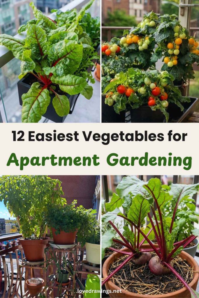 12 Best Vegetables to Grow on a Balcony