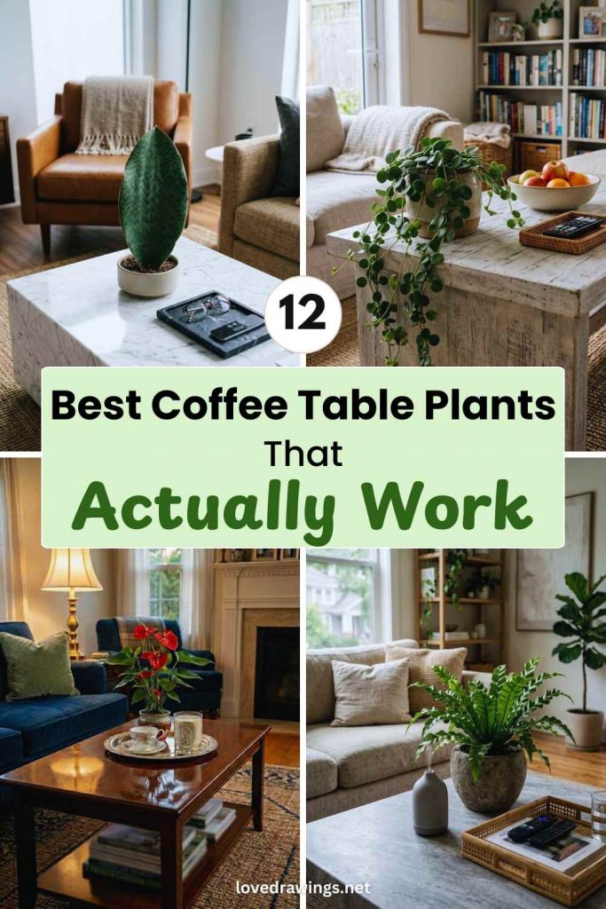 12 Best Coffee Table Plants That Actually Work